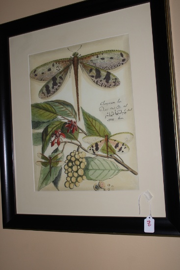 Dragonfly Lithograph