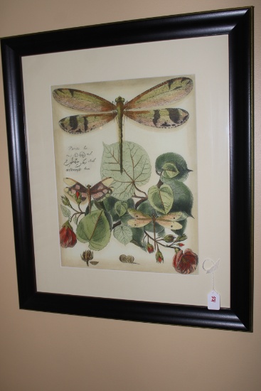 Dragonfly Lithograph