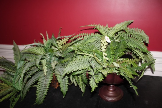 Feaux Ferns
