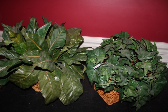 Feaux Plants