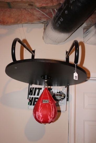Everlast Speed Bag and gloves