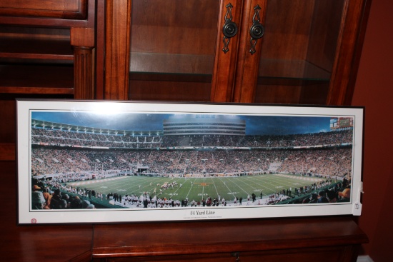 Vols 34 Yard Line photo