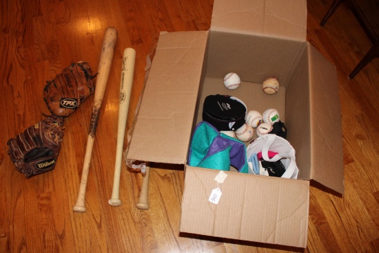 Baseball Bats, gloves and balls