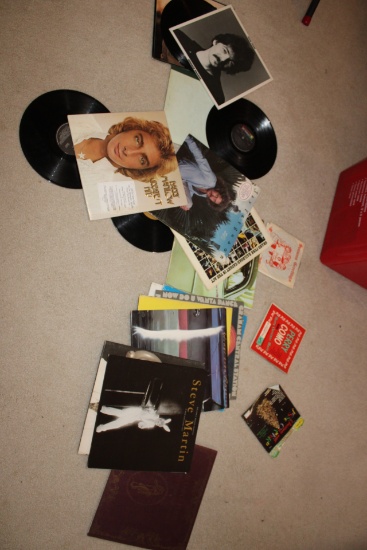 Vinyl Record and sleeves.