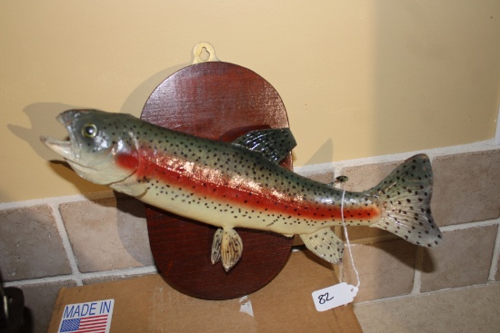 Mounted Trout