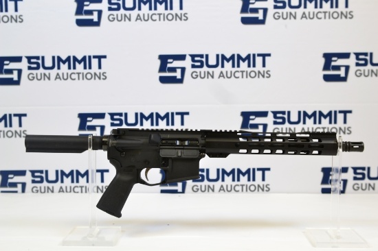 Palmetto State Armory PA-15 5.56 NATO