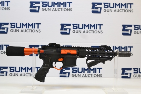 Palmetto State Armory PA-15 .223/5.56