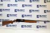 Stoeger Arms 12ga