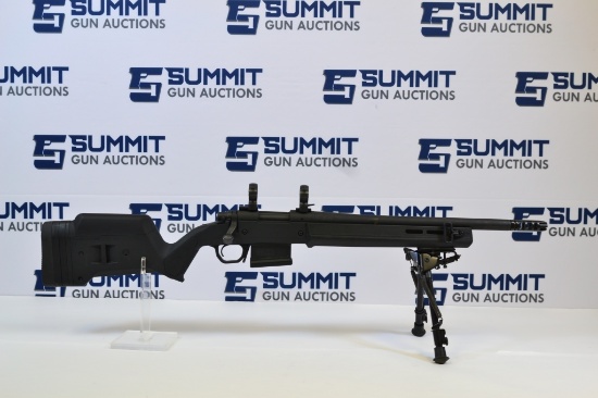 Remington 700 .308