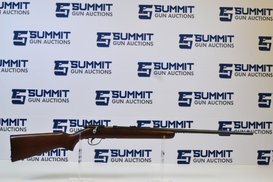 Remington 514 .22 LR