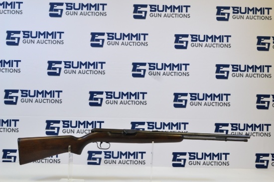 Remington 550-1 .22 LR