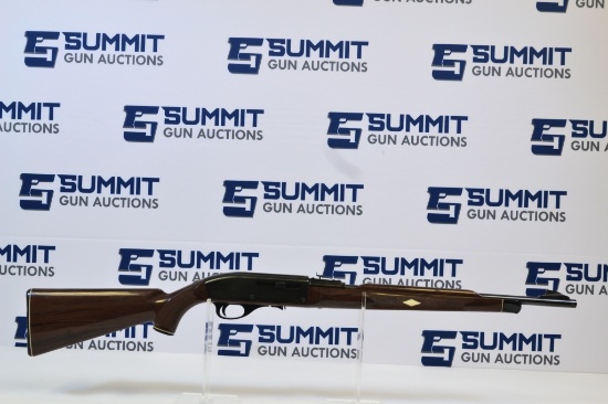Remington Nylon 66 .22 LR