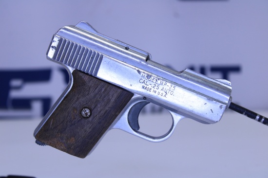 Raven Arms MP-25 .25 ACP