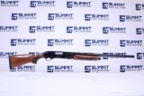 Weatherby PA-08 12ga