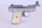 Phoenix Arms Raven .25 ACP