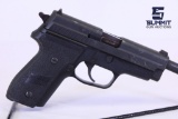 Sig Sauer P229 .40 S&W