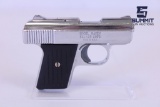 Phoenix Arms Raven .25 ACP