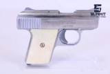 Phoenix Arms Raven .25 Auto
