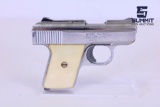 Phoenix Arms Raven .25 ACP