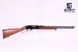 Winchester Model 150 .22LR