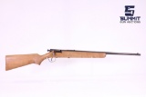 Savage Arms 15-A .22LR