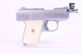 Raven Arms MP-25 .25 Auto