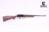 BB Gun .177 Cal