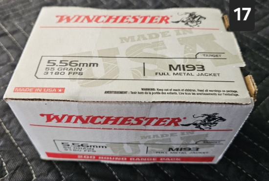 Winchester 5.56mm 55 grain M193 200 Round Range Pack