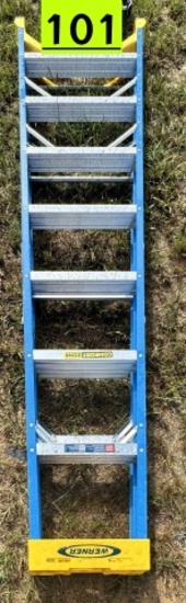 Werner 8ft ladder