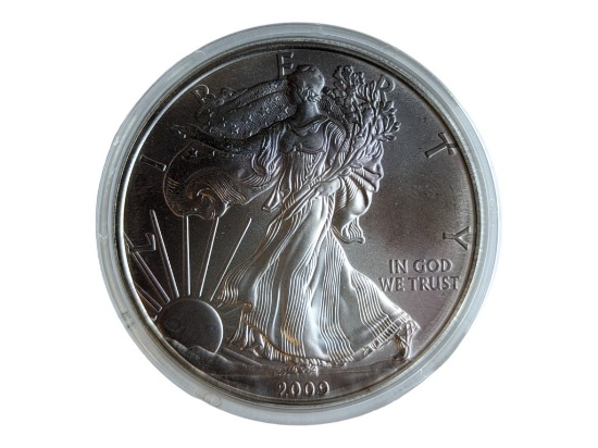 2009 Eagle Silver Dollar - Toned
