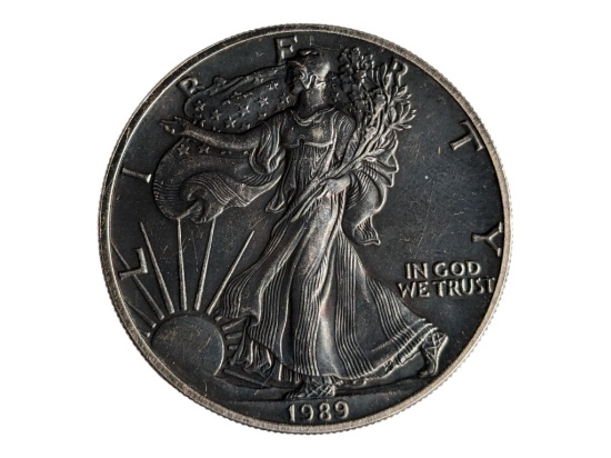 1989 Eagle Silver Dollar - Toned