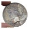 1922 Peace Silver Dollar - Toned