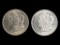 Lot of 2 Morgan Silver Dollars - 1921 & 1921-D