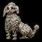 Silver tone Poodle Dog Brooch