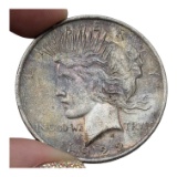 1922 Peace Silver Dollar - Toned