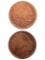 Lot of 2 - 1 Ounce (each) Fine .999 Copper Rounds - Buffalo
