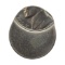 ERROR Jefferson Nickel - Off Center w/ Planchet Visible
