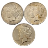 Lot of 3 Silver Peace Dollars - 1922-1924