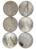 Lot of 6 Silver Peace Dollars - 1922-1923