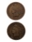 Lot of 2 Indian Head Cents - 1891, 1892