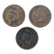 Lot of 3 Indian Head Cents - 1894-1901