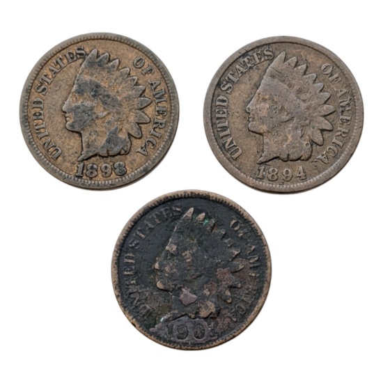 Lot of 3 Indian Head Cents - 1894-1901