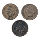Lot of 3 Indian Head Cents - 1894-1901