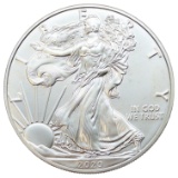 2020 American Silver Eagle Dollar