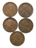 Lot of 5 Lincoln Wheat Cents - 1924-1929