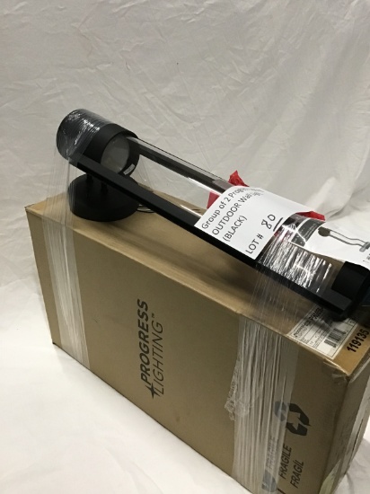 Group of 2 Progress Lighting OUTDOOR wall lights (black)
