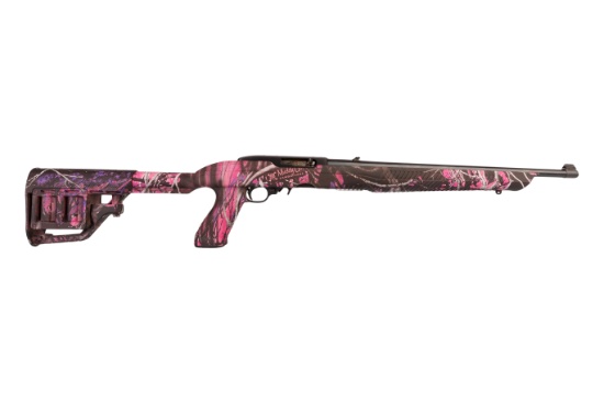 Ruger 10/22: 22 LR