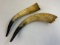 ANTIQUE DECORATING HORNS