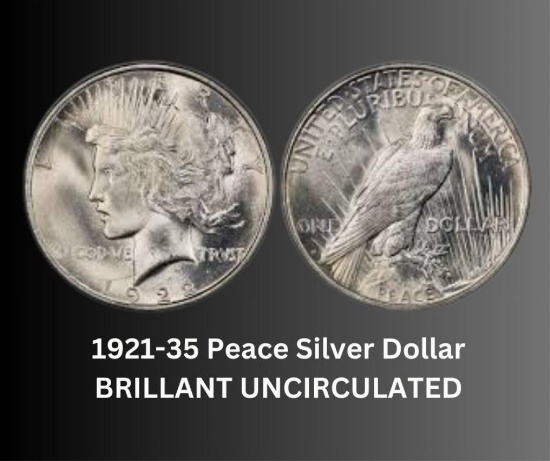 Roll (20) Choice UNC 1921-35 Peace Silver Dollar