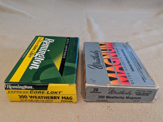Remington & Weatherby 300 Magnum Rifle Cartridges Ammo